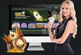 YorkVIP ကျွန်ုပ်တို့အကြောင်း – Myanmar Online Gaming Team